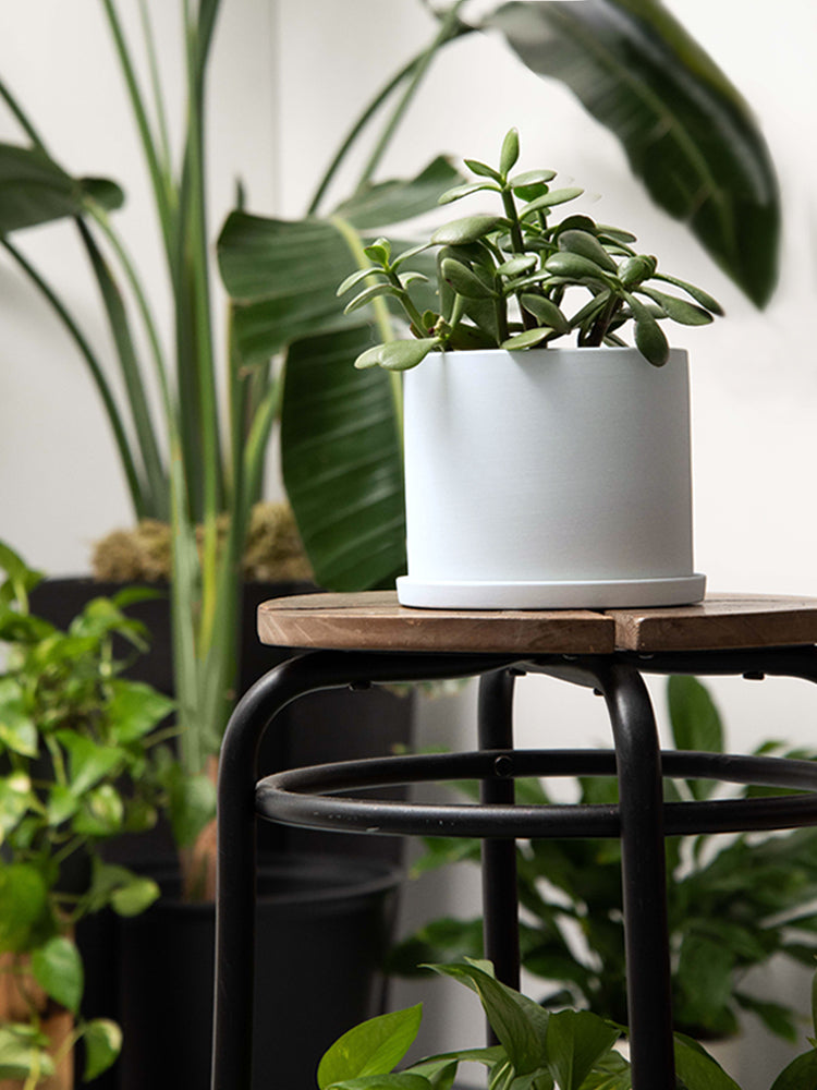 Amazon Lifestyle Small Grey Planter